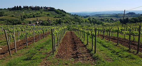 weekend Greve in Chianti